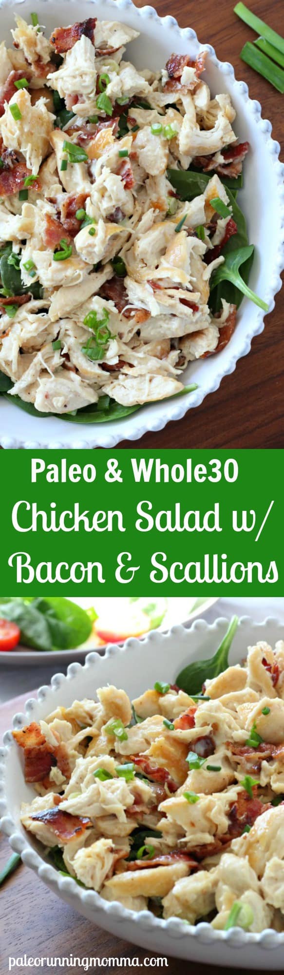 Chicken Salad with Bacon and Green Onions and homemade #paleo mayo - #dairyfree #whole30 #soyfree #glutenfree #lowcarb