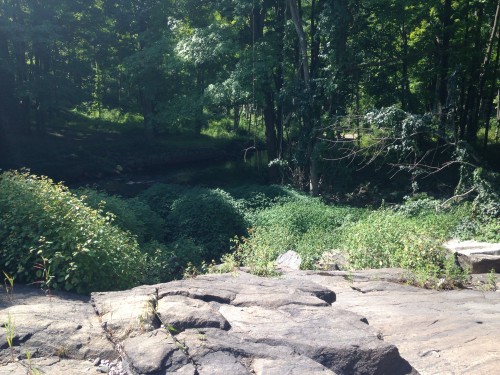 Lots of big rocks and jumping