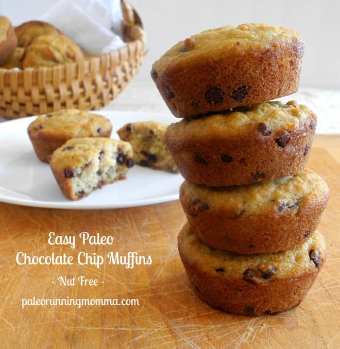 Easy Paleo Chocolate Chip Muffins {Nut Free}