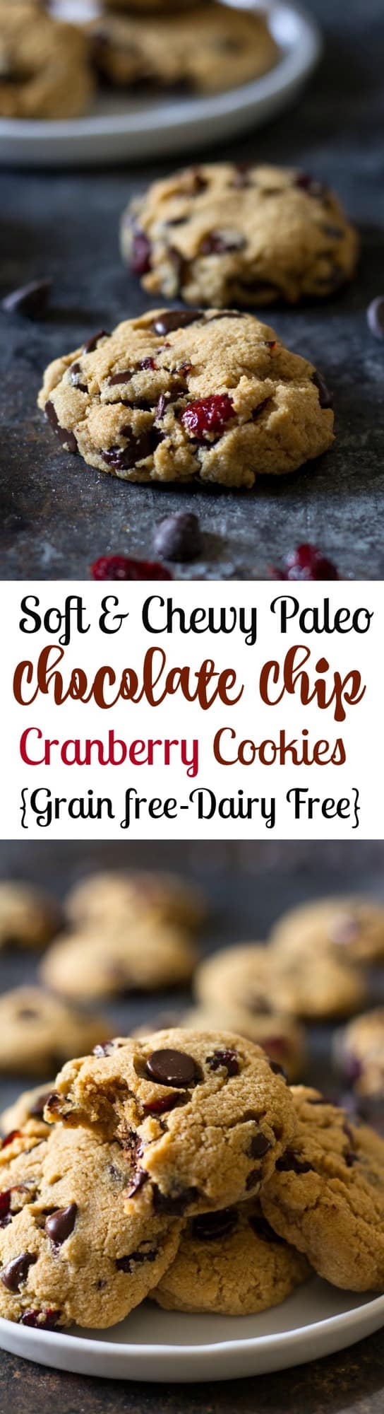 Soft and chewy paleo chocolate chip cranberry cookies that you won't believe are healthy! Grain free, dairy free, Paleo and very easy to make