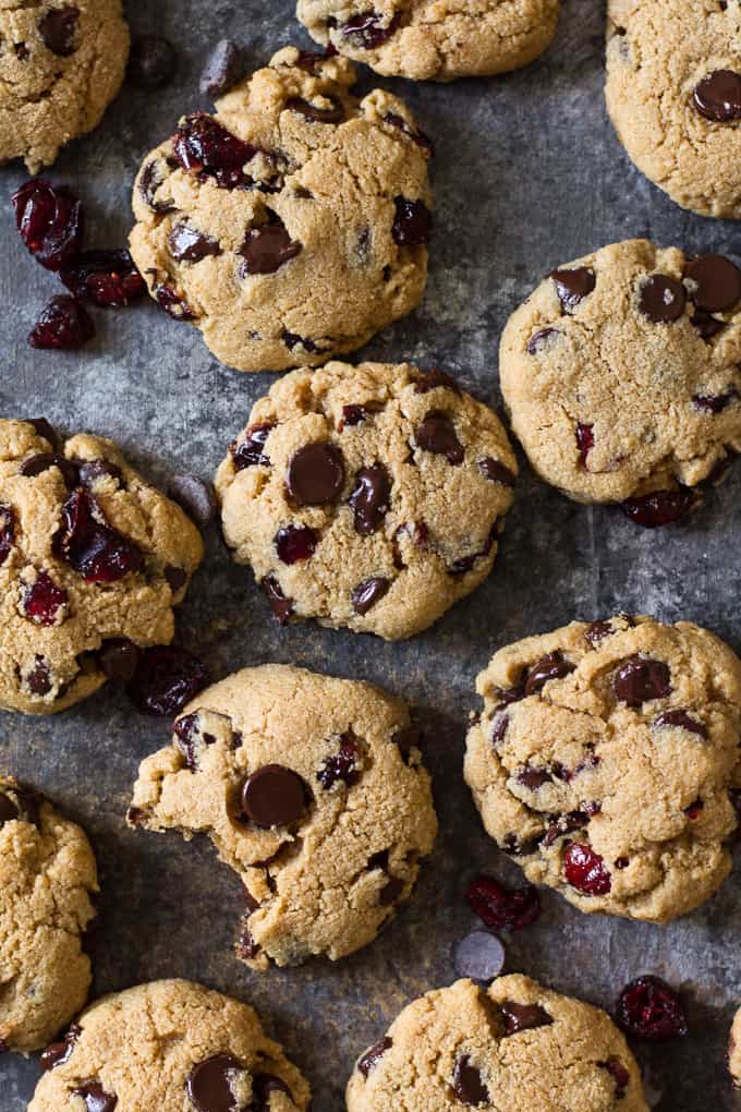 Gluten free, grain free and Paleo soft and chewy chocolate chip cranberry cookies