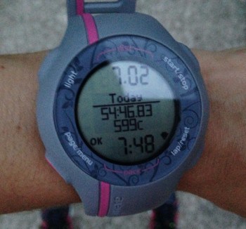 marathon training week 14 update – cutback