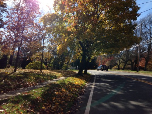 give your “voice” a hug + saturday run (mimm)