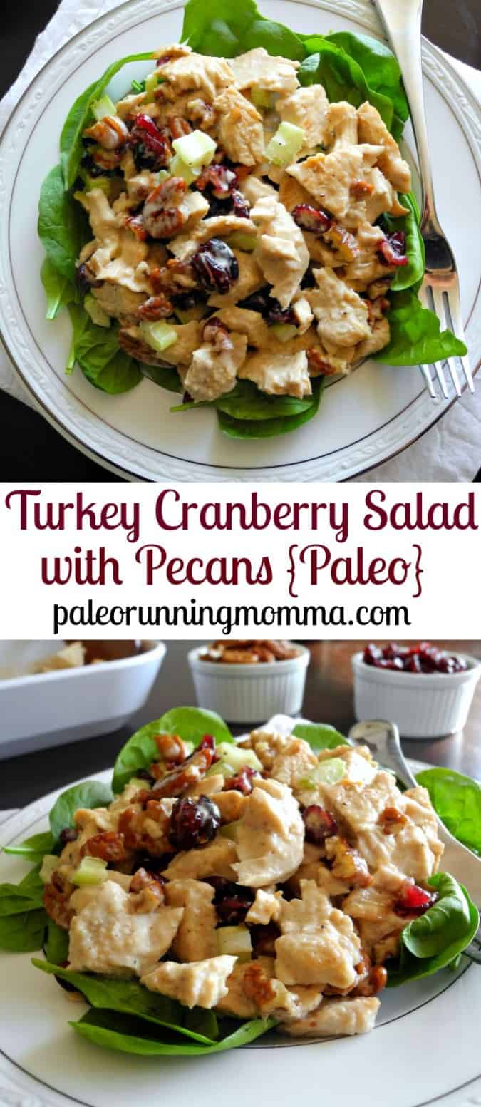 Turkey Cranberry Salad with Pecans - Paleo, Whole30, perfect for leftover turkey or chicken!