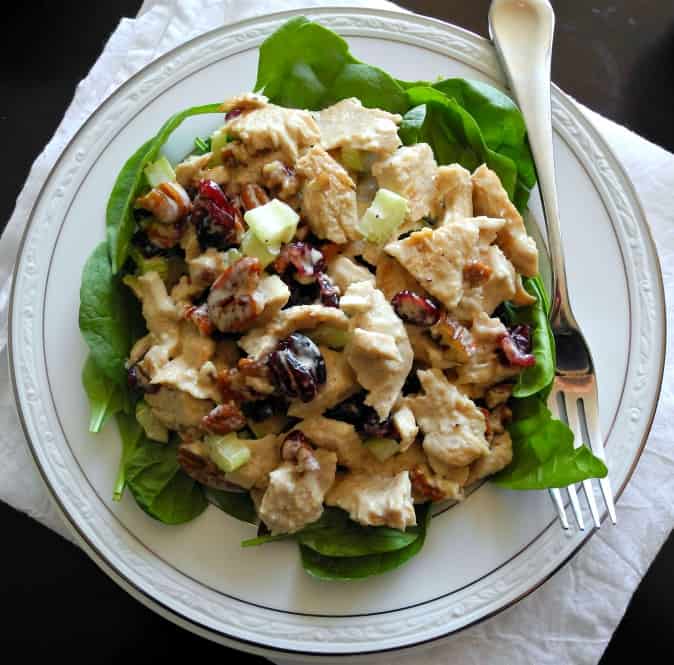 Turkey cranberry salad with pecans - great for leftover turkey! Paleo & whole30