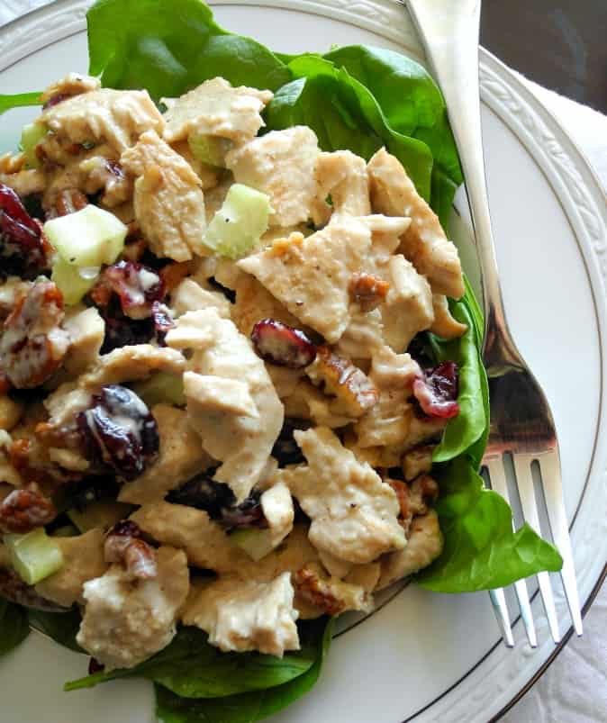 Turkey salad with cranberries and pecans plus paleo mayo