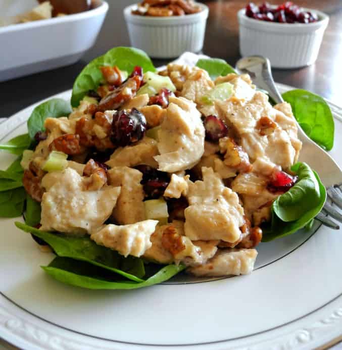 turkey salad with cranberries and pecans - paleo, whole30, great for leftover chicken or turkey!