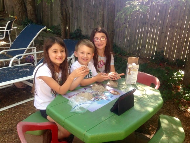 expert kids and mourning kitchen appliances – tol