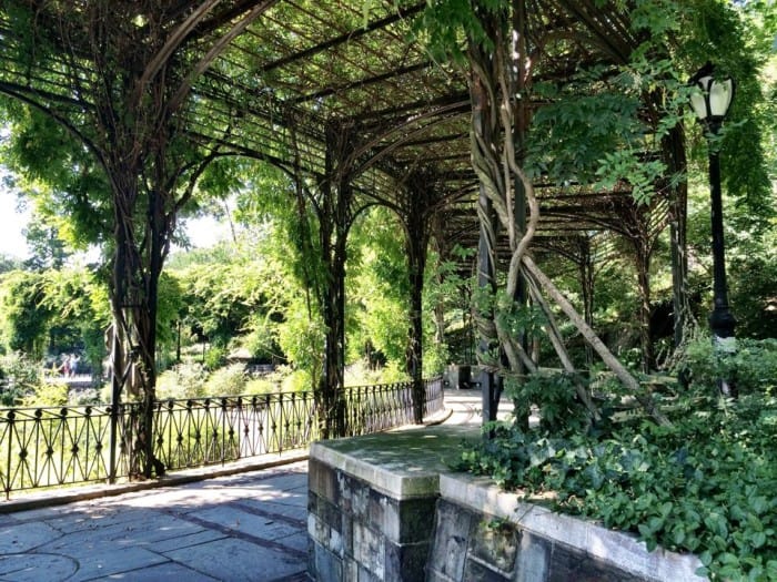 sentence per picture – wedding in central park