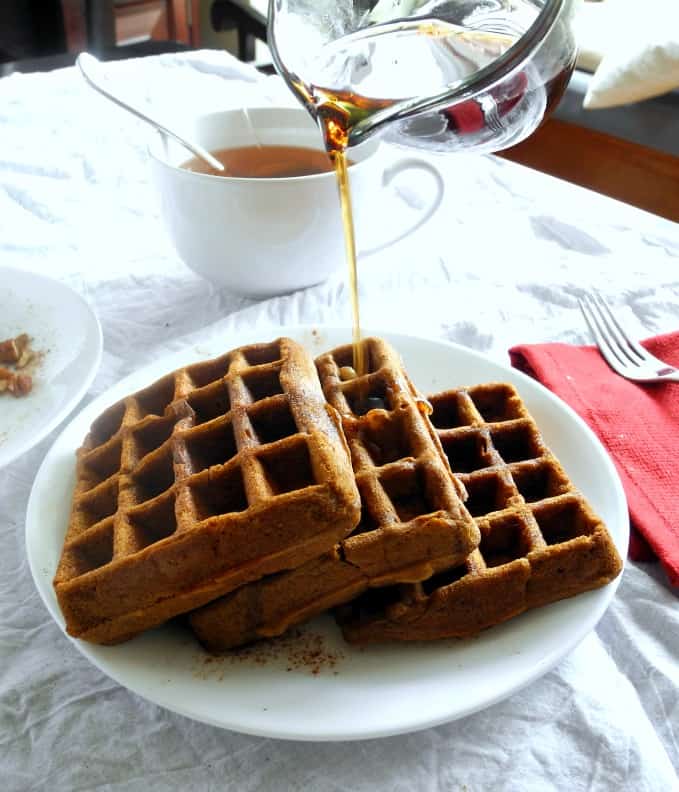 Paleo Gingerbread Waffles #dairyfree #glutenfree #grainfree