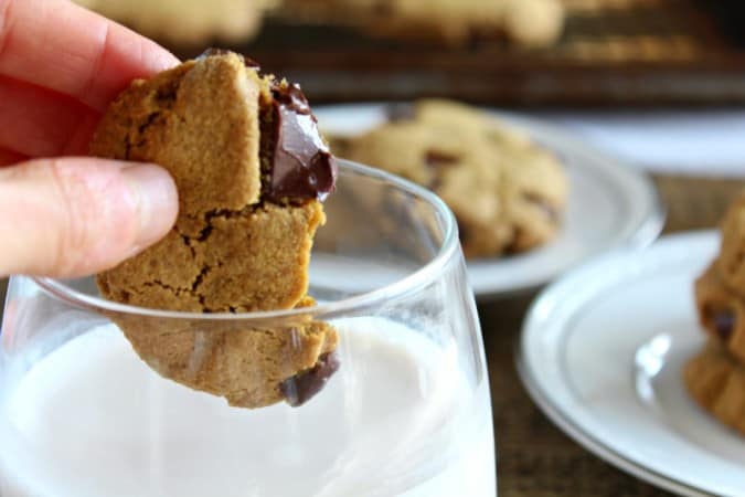 paleo chocolate chunk cookies - nut free option