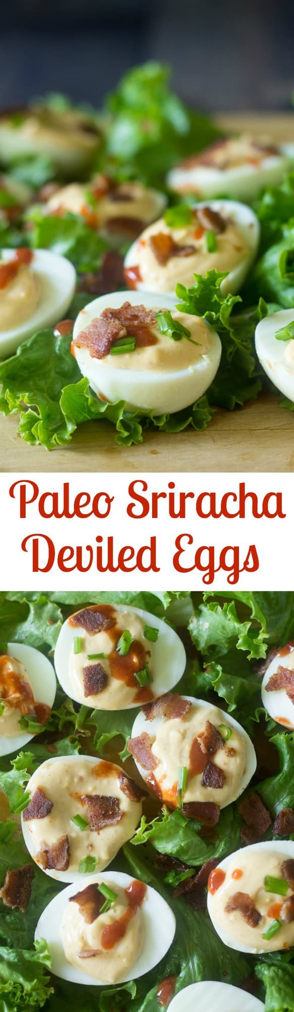 Spicy deviled eggs with bacon and easy Paleo sriracha mayo! Grain free, soy free, Paleo, great appetizer or snack made with healthy whole ingredients!