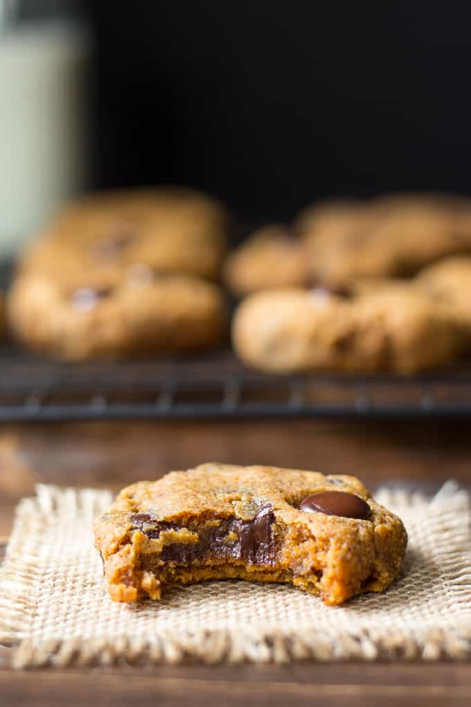 pumpkin-choc-chip-cookies-3