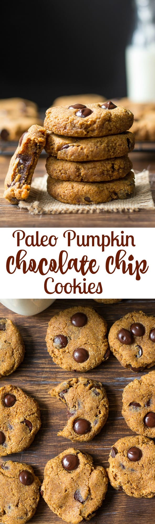 Soft and Chewy Paleo Pumpkin Chocolate Chip Cookies with a hint of warm cinnamon and pumpkin pie spice. Gluten free, grain free, dairy free, Paleo.