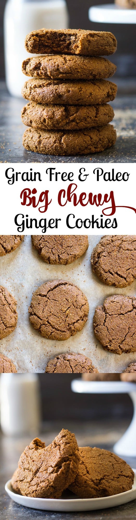 Big soft and chewy Paleo gingerbread cookies that no one will believe are Paleo! Perfect as a Christmas cookie, for cookie exchanges or as an anytime dessert. Grain free, gluten free, dairy free.