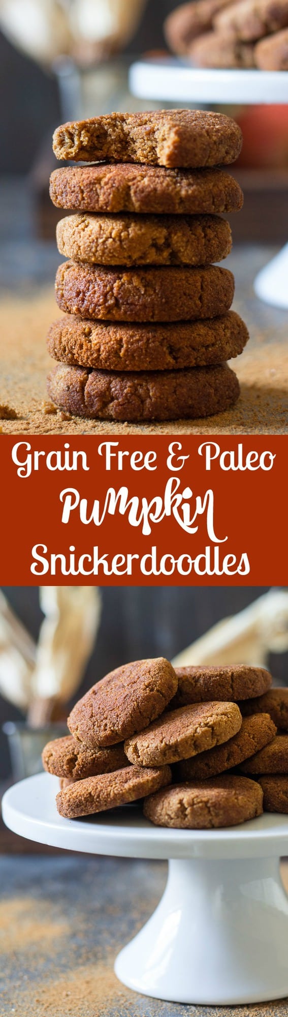 Super soft grain free and paleo pumpkin snickerdoodles that are super easy, kid friendly and packed with vanilla cinnamon sugar flavor! Gluten free, dairy free, refined sugar free and perfect for healthy holiday cookies! 