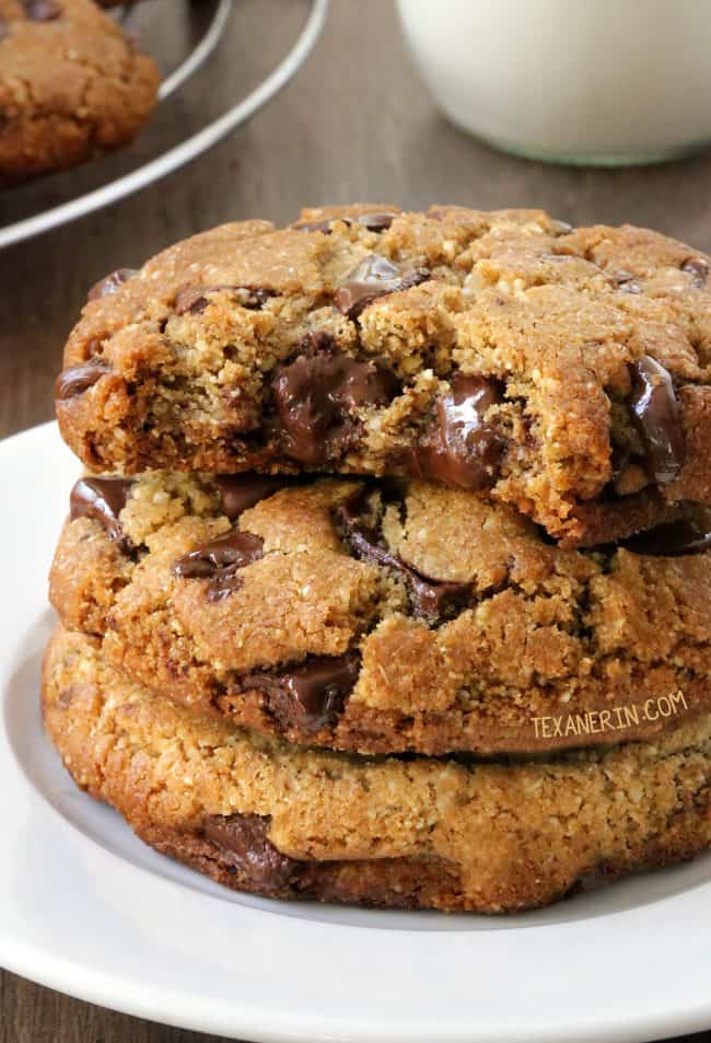 perfect-paleo-chocolate-chip-cookies-3-1-650x953