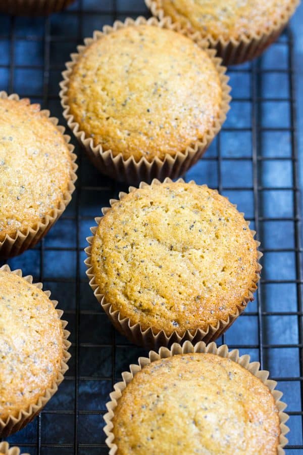 Orange Almond Poppy Seed Muffins {GF, Paleo} The Paleo Running Momma