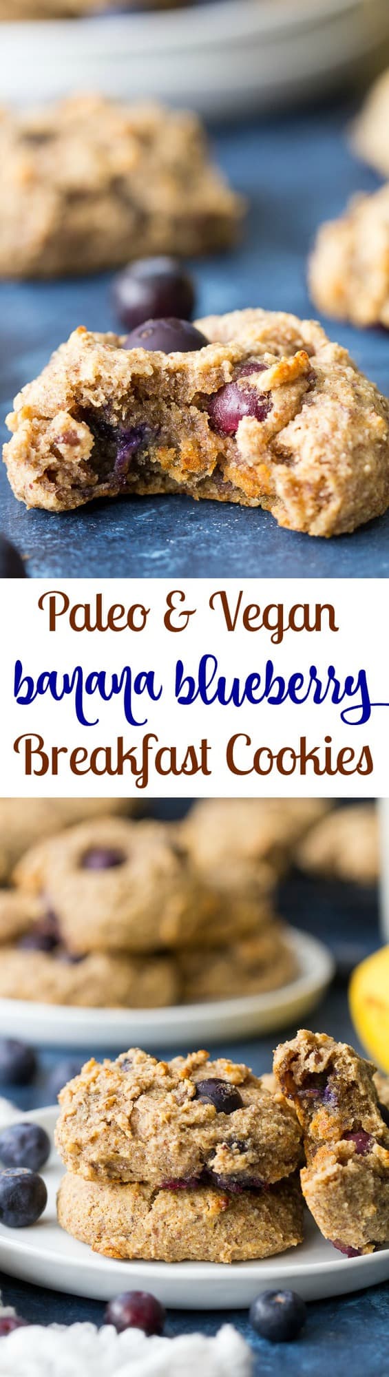 Blueberry Breakfast Cookies Blueberry Breakfast Cookies new foto Blueberry Breakfast Cookies Blueberry Breakfast Cookies new pics