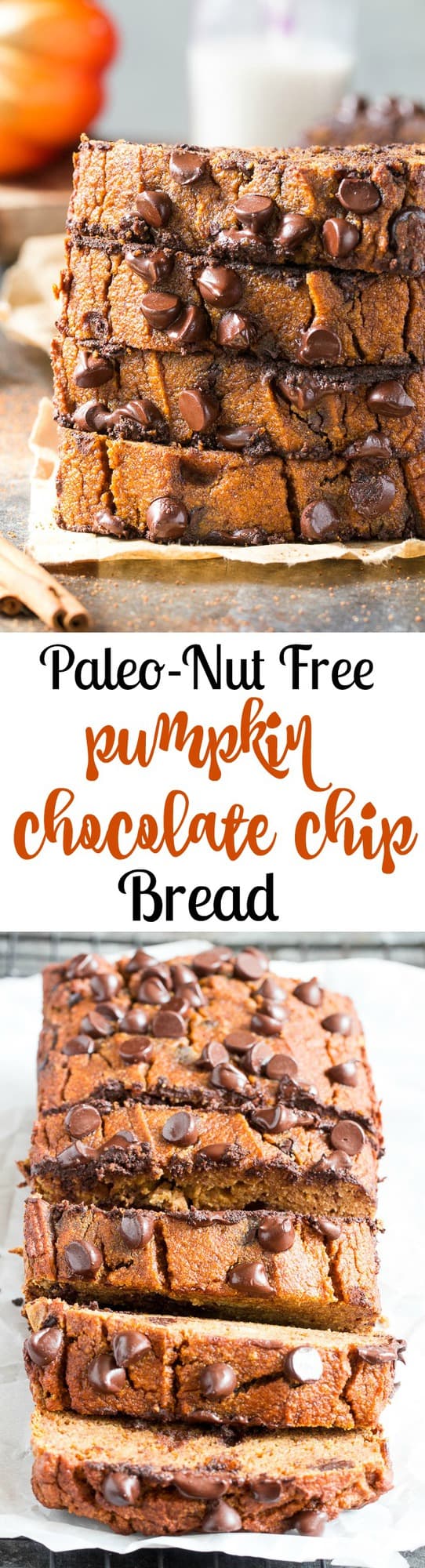 This paleo pumpkin bread is perfectly soft, tender, moist and full of sweet spices and dark chocolate chips.  It's made with coconut flour, grain free, dairy free and nut free.  Kid approved too and great for after school snacks and even breakfast!