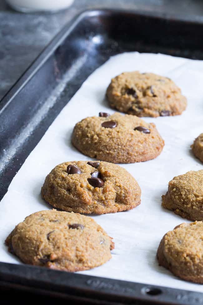 These simple coconut flour chocolate chip cookies are soft, cake-like and packed with chocolate!  They're grain free, nut free, dairy free, easy to make and irresistible!   Gluten-free, Paleo friendly and kid approved.