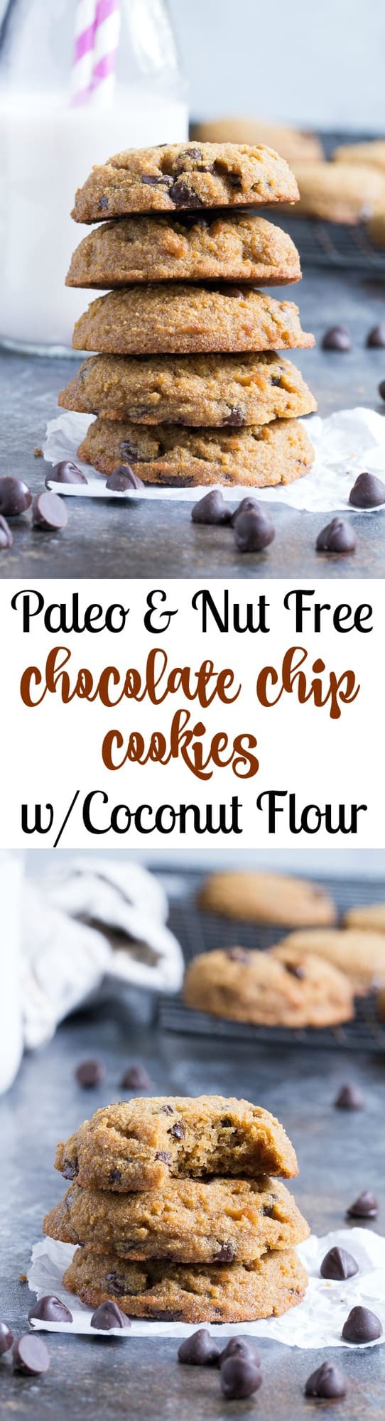 These simple coconut flour chocolate chip cookies are soft, cake-like and packed with chocolate!  They're grain free, nut free, dairy free, easy to make and irresistible!   Gluten-free, Paleo friendly and kid approved.