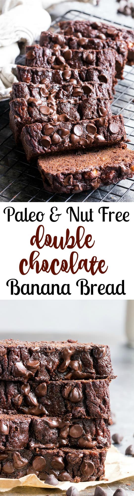 This moist and tender double chocolate banana bread tastes as good as chocolate cake, but it's so much healthier!  Made with coconut flour and raw cacao powder, it's paleo, nut free, gluten-free, dairy-free, family and kid approved! Great for snacks, breakfast or a healthy dessert!