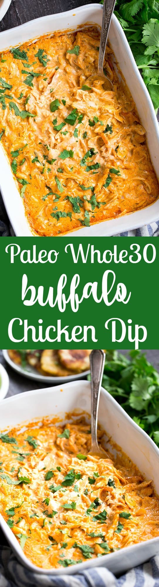 Perfectly creamy and packed with spice and flavor, this buffalo chicken dip is so ridiculously tasty that you'd never guess it's Paleo, Whole30 compliant, dairy-free, and keto friendly!  Use as a dip for veggies, tostones, or as a topping for sweet potato toast or a baked potato to make it a full meal!