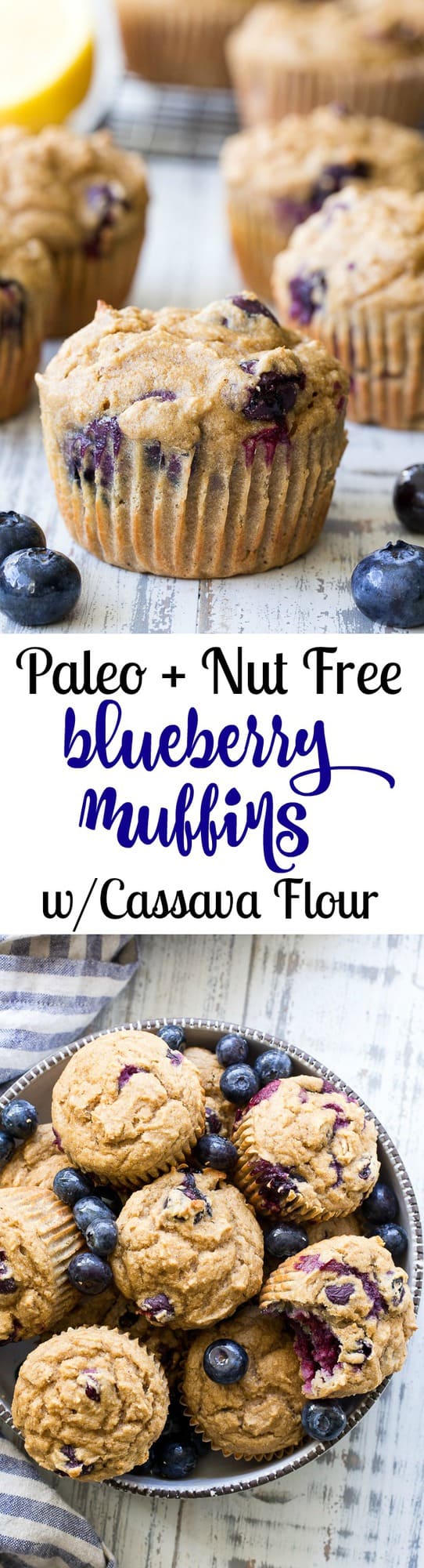 These classic blueberry muffins have a hearty and moist texture thanks to cassava flour and are bursting with flavor and juicy blueberries!  They're grain free, nut free, dairy free and paleo, family approved, and great for breakfasts and snacks!