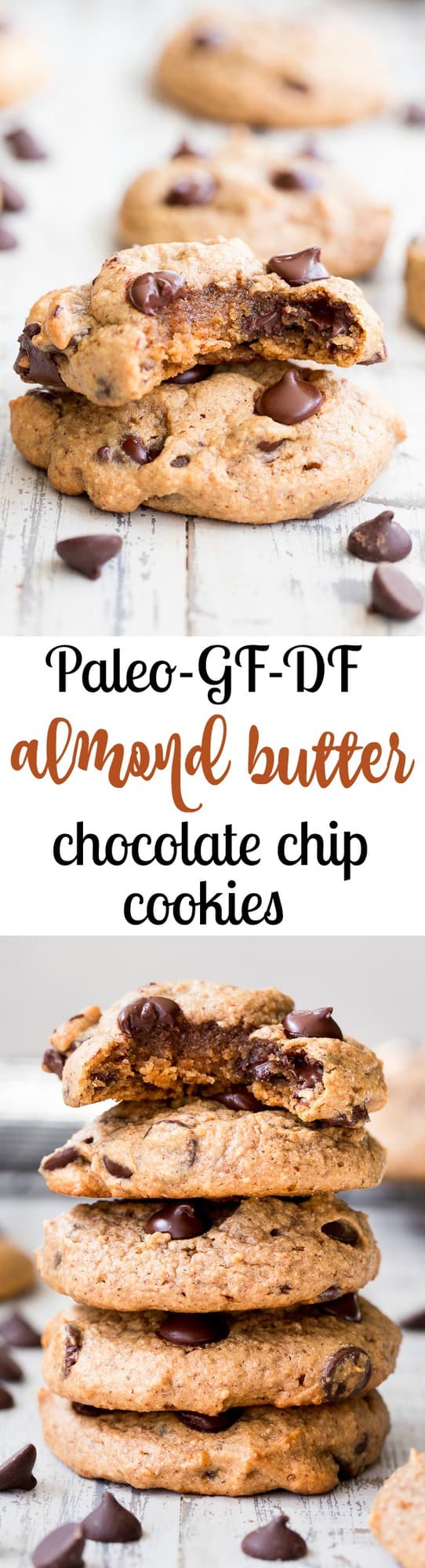 These chewy paleo chocolate chip cookies are a breeze to make, kid approved and the perfect go-to healthy dessert.  They're loaded with good fats, super chewy and thick, with great nutty flavor thanks to the almond butter!   Grab one for an after school snack or serve to a crowd - these chewy chocolate chip cookies are sure to be a hit.