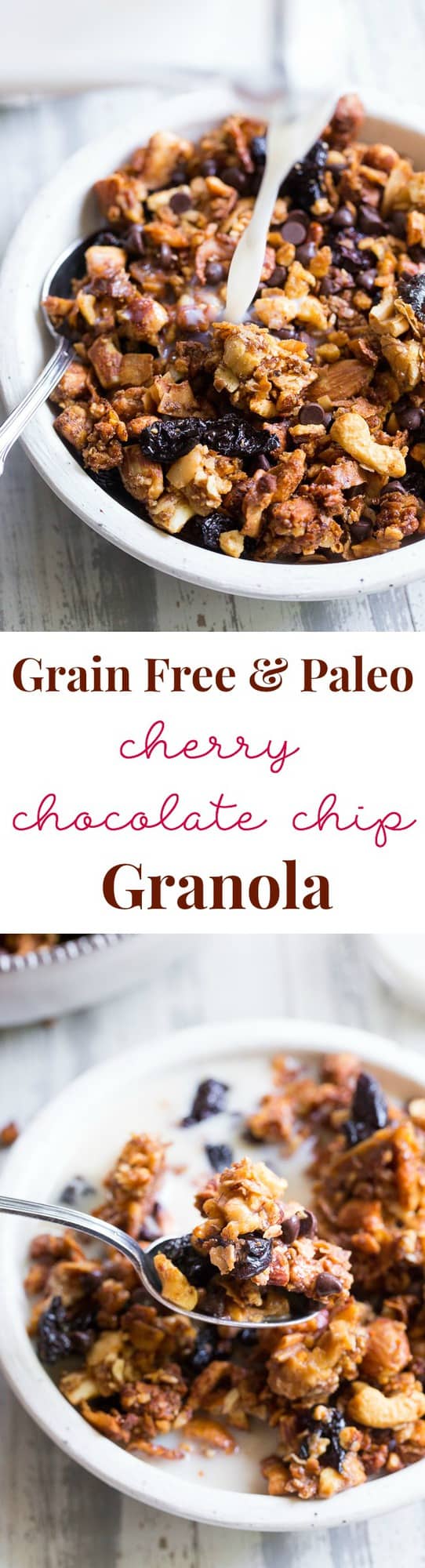 This crunchy paleo granola is loaded with goodies and so incredibly tasty!   Grain free granola clusters are baked with maple and tossed with sweet and tart dried cherries and dark chocolate chips.  It makes the perfect sweet snack or breakfast that everyone will love!  Gluten free, vegan, paleo.