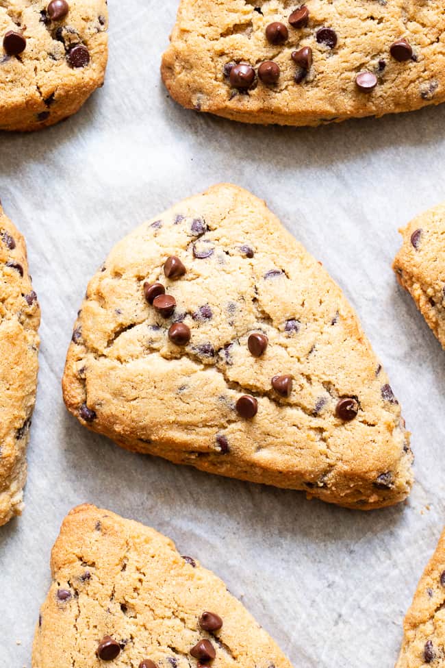 These paleo chocolate chip scones are flaky, soft and packed with mini chocolate chips!  They’re perfect for brunch, dessert, and anytime you need something special and sweet.  Gluten free, grain free, with dairy-free options. Paleo dessert. Paleo baking. Paleo brunch. Paleo treat. 