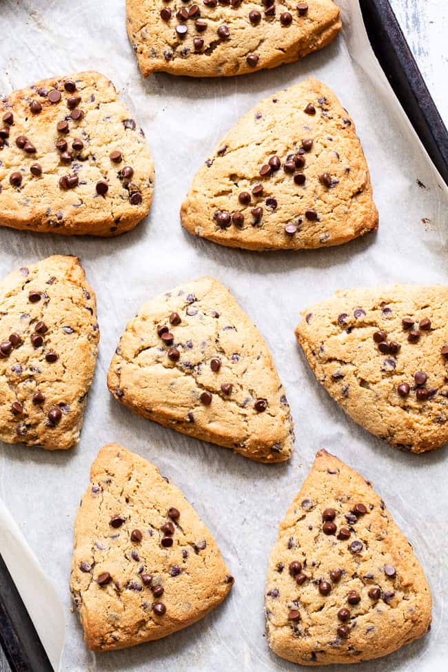 These paleo chocolate chip scones are flaky, soft and packed with mini chocolate chips!  They’re perfect for brunch, dessert, and anytime you need something special and sweet.  Gluten free, grain free, with dairy-free options. Paleo dessert. Paleo baking. Paleo brunch. Paleo treat. 