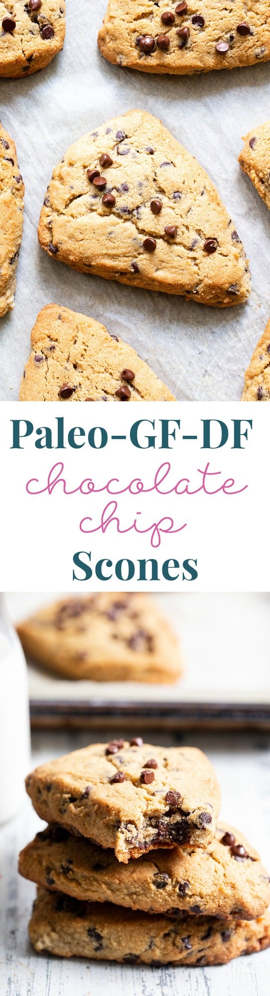 These paleo chocolate chip scones are flaky, soft and packed with mini chocolate chips!  They’re perfect for brunch, dessert, and anytime you need something special and sweet.  Gluten free, grain free, with dairy-free options. Paleo dessert. Paleo baking. Paleo brunch. Paleo treat. 