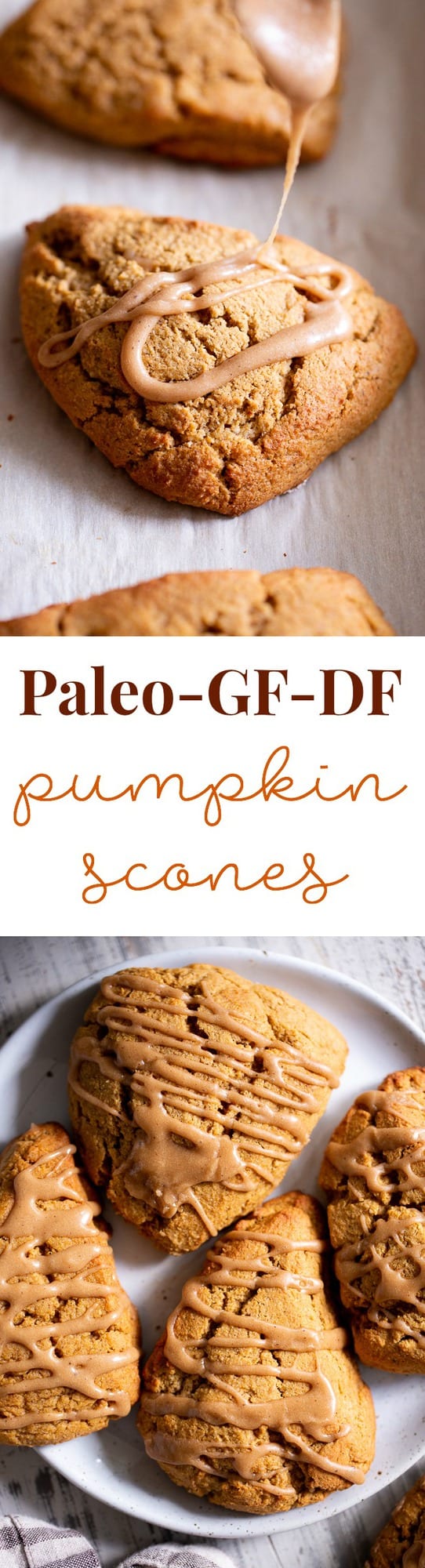 These paleo pumpkin scones are tender and full of pumpkin spice flavor!  Serve them warm topped with a pumpkin spice drizzle for a special (healthier!) treat this fall.  Gluten free and paleo with dairy-free options.  Paleo baking. Paleo desserts. Paleo scones. Paleo Pumpkin recipes.