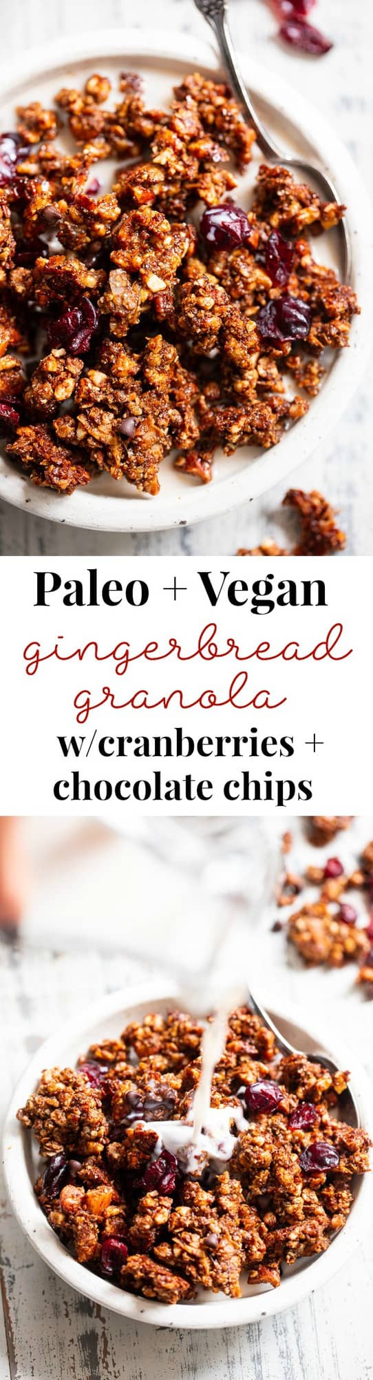 This Paleo gingerbread granola is perfect for snacking or breakfast! The crunchy granola clusters are sweetened with maple and molasses, baked until toasty, and mixed with sweet cranberries and dark chocolate chips.  Vegan, grain free, dairy free.