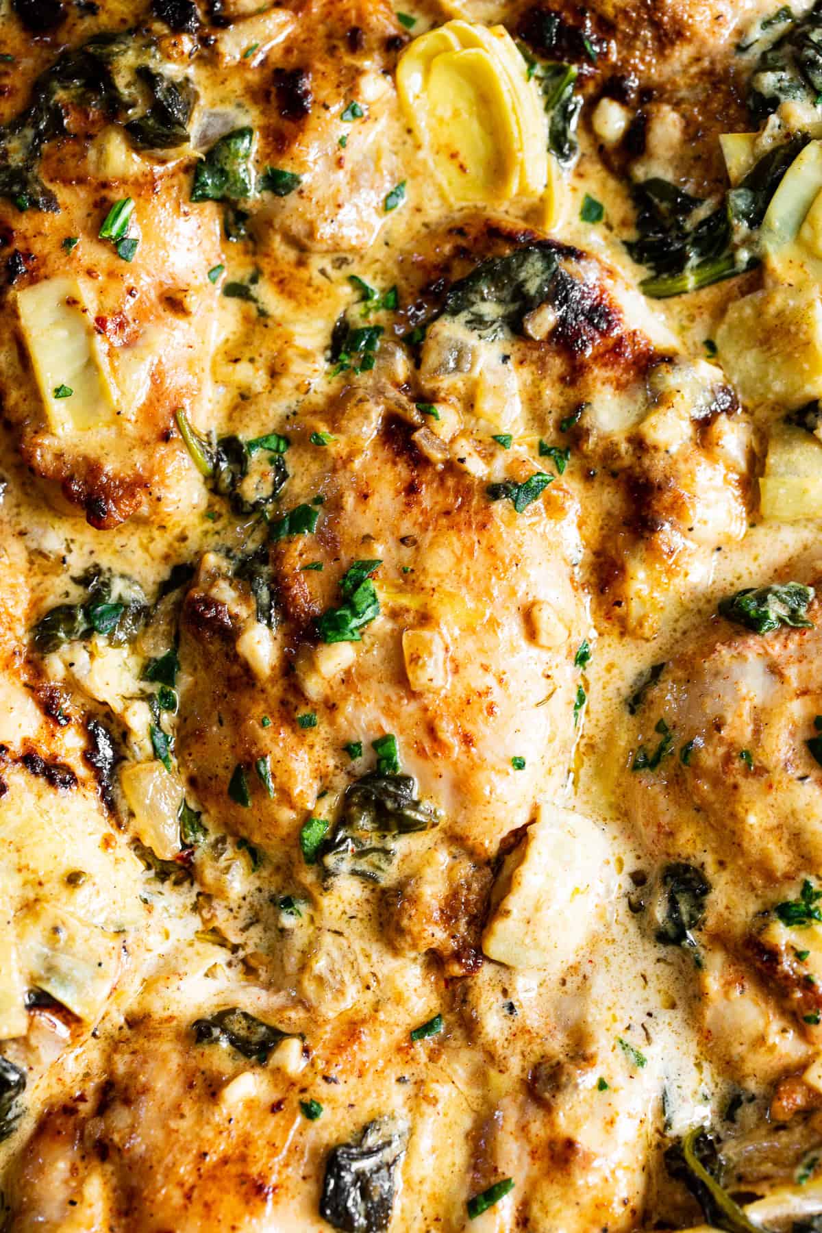 Creamy spinach artichoke chicken recipe made in one skillet with chicken thighs, spinach and artichoke hearts.