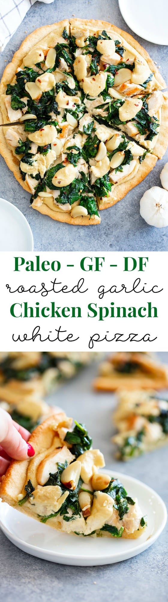 This white pizza has a super tasty roasted garlic cashew cheese sauce with sautéed spinach and chicken, plus more roasted garlic.  Everything is baked on the best easy paleo pizza crust for a fun, filling and delicious paleo and dairy free pizza.