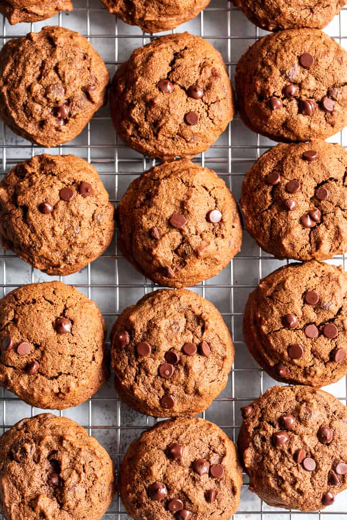 These Gingerbread Chocolate Chip Cookies are packed with sweet molasses, spices, and chocolate.  They’re made with cassava flour so they’re gluten and grain free, paleo, and nut free as well.  These chocolate chip gingerbread cookies are perfect for healthy holiday baking or whenever you crave a sweet treat.