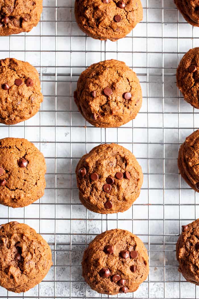 These Gingerbread Chocolate Chip Cookies are packed with sweet molasses, spices, and chocolate.  They’re made with cassava flour so they’re gluten and grain free, paleo, and nut free as well.  These chocolate chip gingerbread cookies are perfect for healthy holiday baking or whenever you crave a sweet treat.