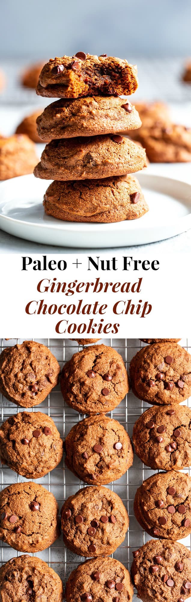 These Gingerbread Chocolate Chip Cookies are packed with sweet molasses, spices, and chocolate.  They’re made with cassava flour so they’re gluten and grain free, paleo, and nut free as well.  These chocolate chip gingerbread cookies are perfect for healthy holiday baking or whenever you crave a sweet treat.