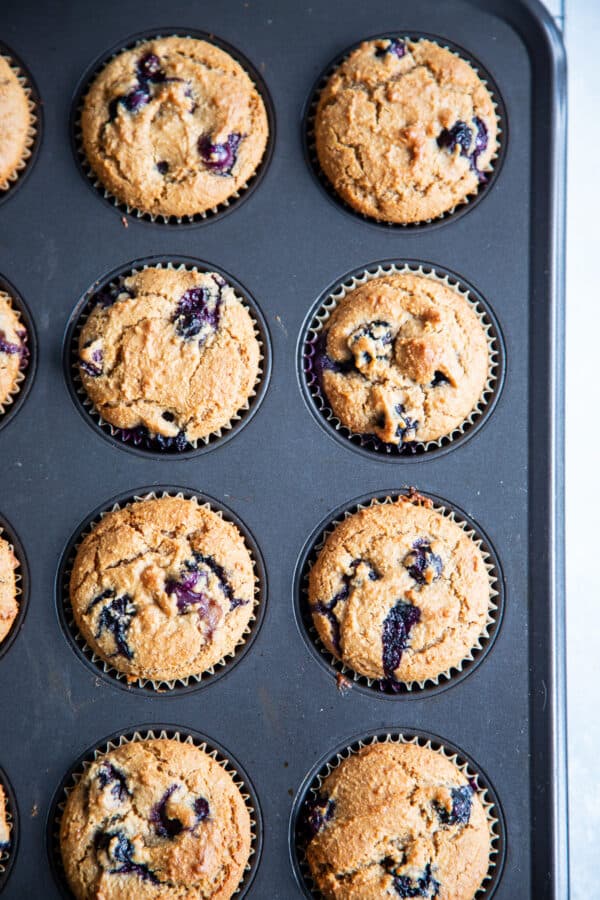 Paleo Vegan Blueberry Muffins {Gluten-Free, Dairy-Free, Egg Free}