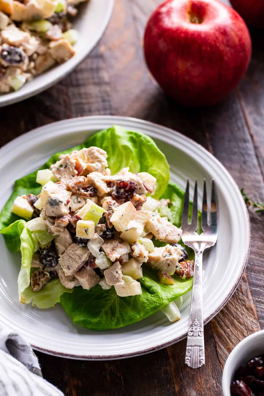 This healthy paleo chicken salad is packed with so many goodies like crunchy apples and celery, onions, cranberries, fresh herbs and tossed with an easy homemade mayo.  It's perfect over a salad, wrapped in greens or on its own for lunch or a snack!  Family approved, sugar free, dairy free and Whole30 compliant. #paleo #whole30 #cleaneating #chickensalad