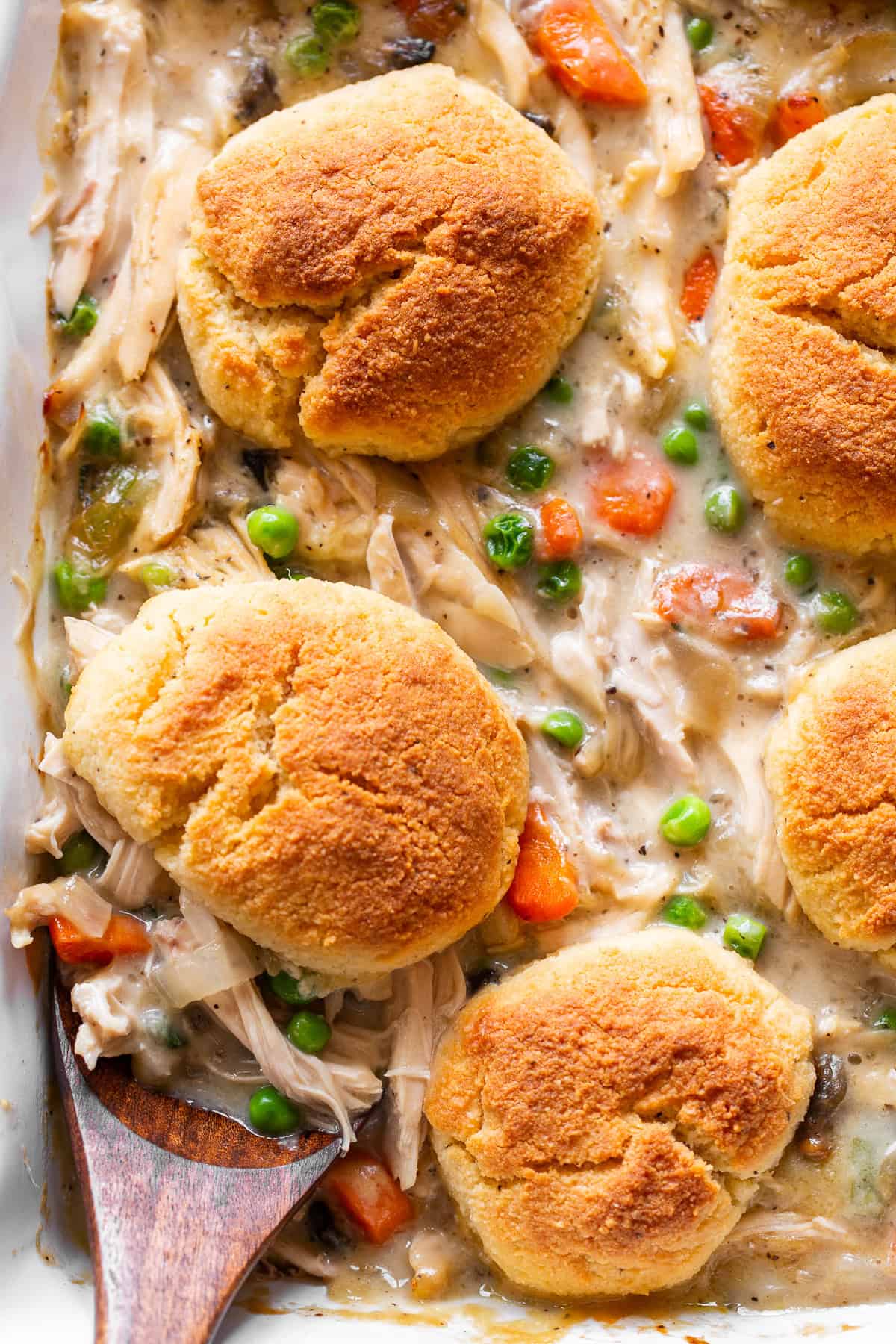 chicken pot pie casserole with golden biscuits and creamy chicken vegetable filling.